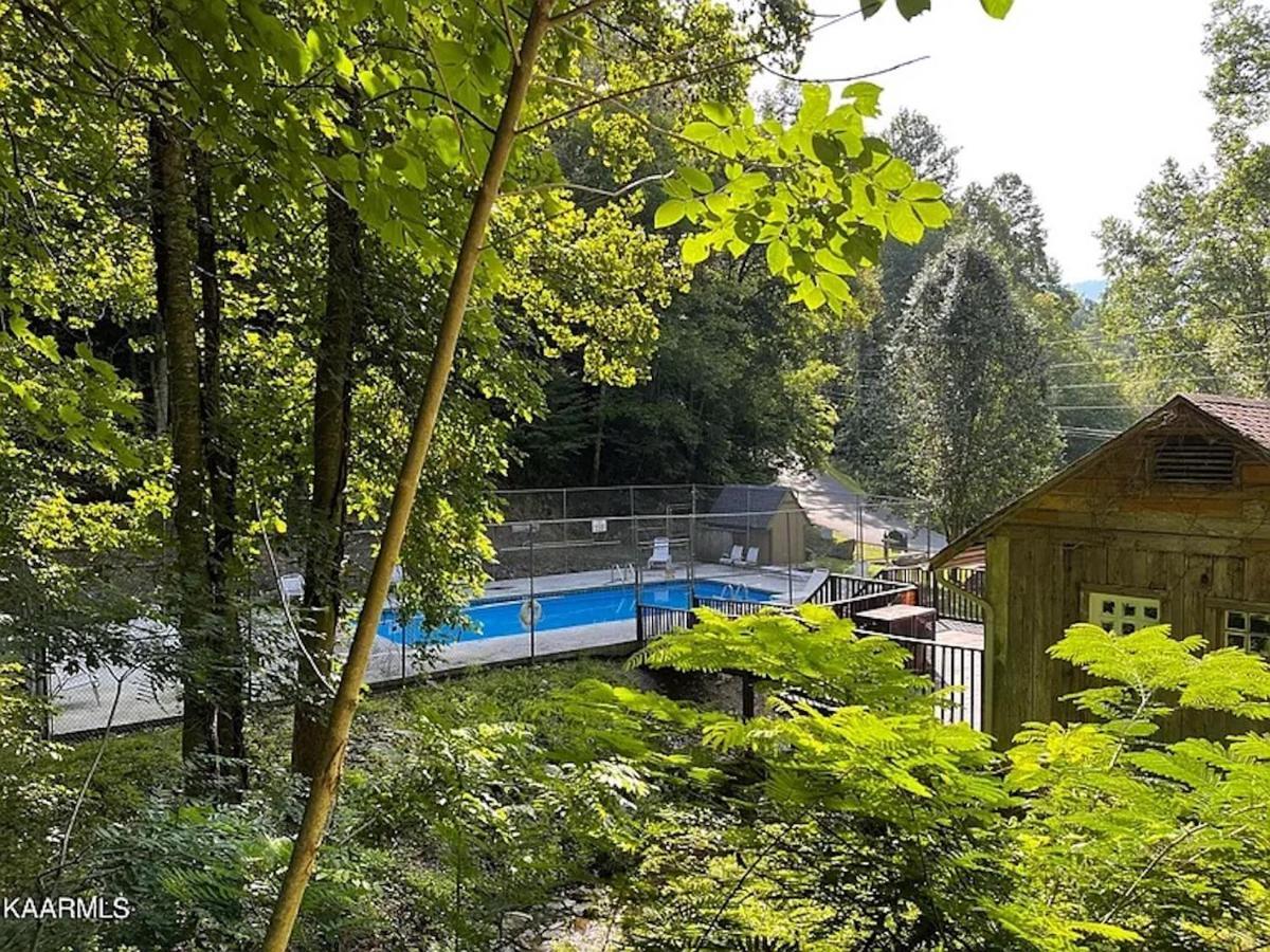 Hawks View Gatlinburg Mountain Cabin Bagian luar foto